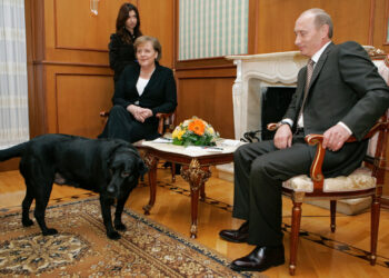 Angela Merkel eine Lügnerin? Archivfotos lassen an angeblicher Hundephobie zweifeln