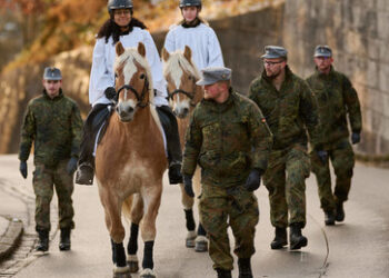 Bundeswehrgeneral: Heer muss sich auf "Kampf heute Nacht" vorbereiten