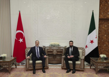 Damaskus: Türkischer Außenminister trifft neuen syrischen Machthaber