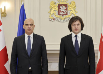 Georgien kann Gesetz über ausländische Agenten ändern