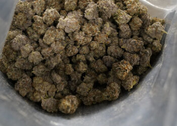 Historischer Schlag gegen Drogenhandel in Paraguay: Polizei beschlagnahmt 57 Tonnen Marihuana