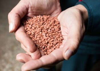 Höchster Wert seit Sowjetzeiten – Russland verzeichnet Rekord bei Düngemittelausfuhren