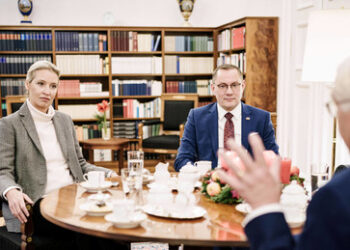 INSA-Meinungstrend: AfD überspringt 20-Prozent-Marke, FDP rutscht ab