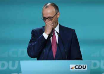 Insa-Umfrage: AfD bei 20 Prozent – SPD erreicht Jahreshoch