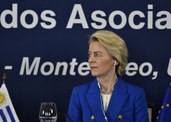 Mercosur-Abkommen: Nachteile für alle außer für deutsche Exportindustrie