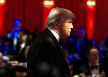 Noch vor Amtsantritt: Trumps Nahostgesandter bemüht sich um Waffenstillstand in Gaza