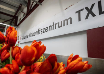 Politico: Einige EU-Länder verweigern Westukrainern Asyl