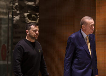 Trump hat für Erdogan und Selenskij einen Platz in der Politik definiert