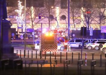 Was das BKA-Papier über den Attentäter von Magdeburg enthüllt