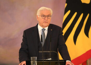 "Einflussnahme von außen" – Steinmeier findet X gefährlich