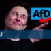 "Letzter Funken Hoffnung für Deutschland": Wie Elon Musk die AfD empfiehlt