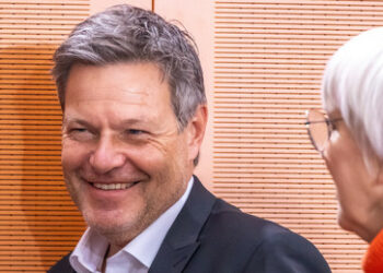 "Unfähigster Wirtschaftsminister aller Zeiten" – Anzeige gegen Kubicki