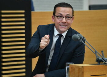 "Vaterlandsverräter" – CDU-Abgeordneter beschimpft die AfD für Friedensbemühungen