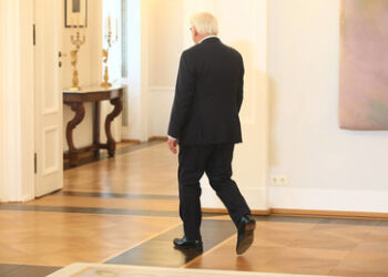 Bundespräsident Steinmeier und die Bedrohung der Demokratie