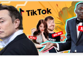 China erwägt TikTok-Verkauf an Elon Musk