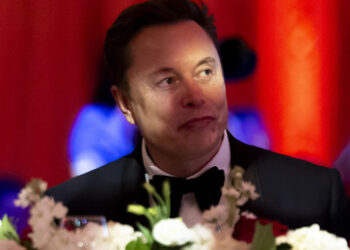 EU setzt Musk unter Druck: X im Fokus wegen AfD-Unterstützung