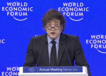 Eine Kettensäge in Davos: Wie Javier Milei das WEF mit seiner Brandrede spaltete