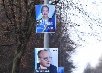 Erste Umfrage nach Aschaffenburg: AfD klettert auf 22 Prozent – BSW schmiert weiter ab