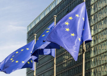 FT: Brüssel will belgischen König zur Aufrechterhaltung antirussischer Sanktionen einschalten