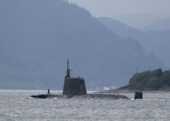 Großbritannien: Wal steckte hinter "russischer Attacke" bei U-Boot-Fehlalarm