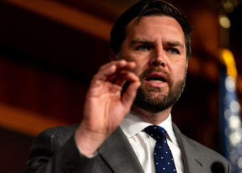 J. D. Vance äußert sich zur AfD: Ein Kommentar, der Wellen schlägt