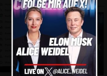 Liveticker zum Musk/Weidel-Interview: Mainstream bereits im Vorfeld außer sich