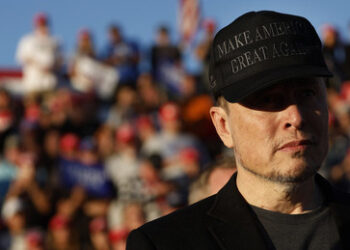 Musk macht westliche Staatsführer nieder – aber sie haben es sich selbst eingebrockt