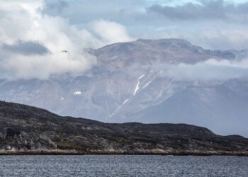 "Kürzester Krieg der Welt" – Politico über möglichen Zusammenstoß zwischen Dänemark und USA