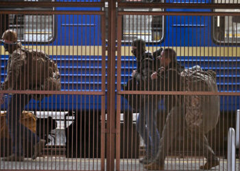 Aus dem Zug zur Einberufung: Ukrainischer Basketballspieler abgeführt