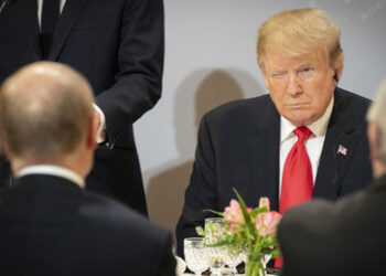 CNN: Trump und Putin rechnen nicht mehr mit Selenskij in Gesprächen