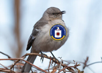 Das zweite Lied der Spottdrossel oder die Vorläufer von USAID und seinem Skandal