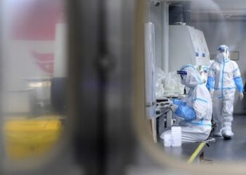 Elon Musk: USAID finanziert Biowaffenforschung und ist "kriminelle Organisation"