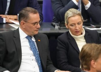 INSA-Umfrage: AfD klettert auf 22 Prozent