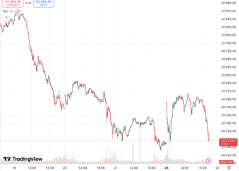 Keine Party an der Börse: Nein, die Märkte jubeln über Anti-Elon-Kanzler Merz’ Sieg nicht