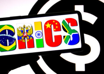 Kreml: Keine Pläne für BRICS-Währung