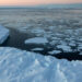 Mikroplastik zum ersten Mal in abgelegenen Gebieten der Antarktis aufgefunden