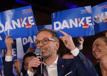 Österreich: "Wissenschaftler:innen" warnen vor FPÖ-Regierungsbeteiligung