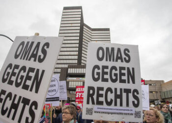 Omas gegen Rechts: NGOs als Instrumente gegen die Demokratie