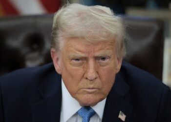 Politico: EU fürchtet Trumps Zorn über Verweigerung von US-Waffenimporten