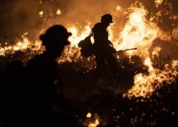 Schönbergs Partituren und moderne Kunst: US-Brände vernichteten unersetzliches Kulturgut