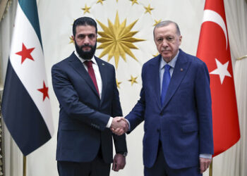 Sunnitische Achse: Türkei bietet dem syrischen Machthaber Hilfe im Kampf gegen die Kurden an