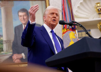 Trump-Briefing: Keine NATO für Kiew, territoriale Zugeständnisse, Treffen mit Putin