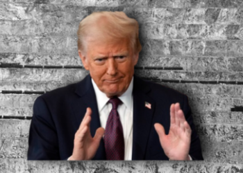 Trump fordert seltene Erden aus der Ukraine für US-Hilfe