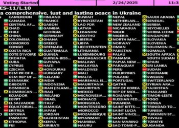 UN-Generalversammlung nimmt zwei Resolutionen zur Ukraine an