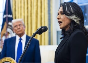 US-Geheimdienstchefin Tulsi Gabbard bezeichnet CNN als "Propaganda-Arm" von Spionen