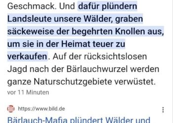 "Bild" wittert "Russische Bärlauch-Mafia"