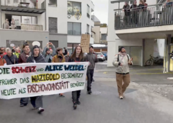 "Nazis raus"-Rufe und Pfeifkonzerte: AfD-Proteste in der Schweiz sorgen für Unruhe