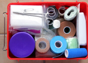 Demnächst in jedem Haushalt: Frankreich bereitet "Handbuch des Überlebens" vor