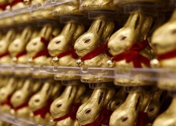 Importpreise ziehen massiv an: Teuerung bei Lebensmitteln bis zu 120 Prozent