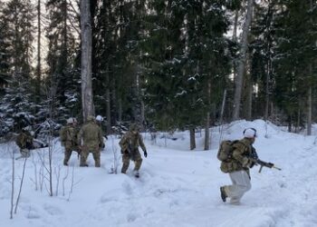 Polen und baltische Staaten ändern ihre Meinung zur Ukraine – Warum?